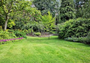 Optimiser l'expérience du jardin à Repentigny